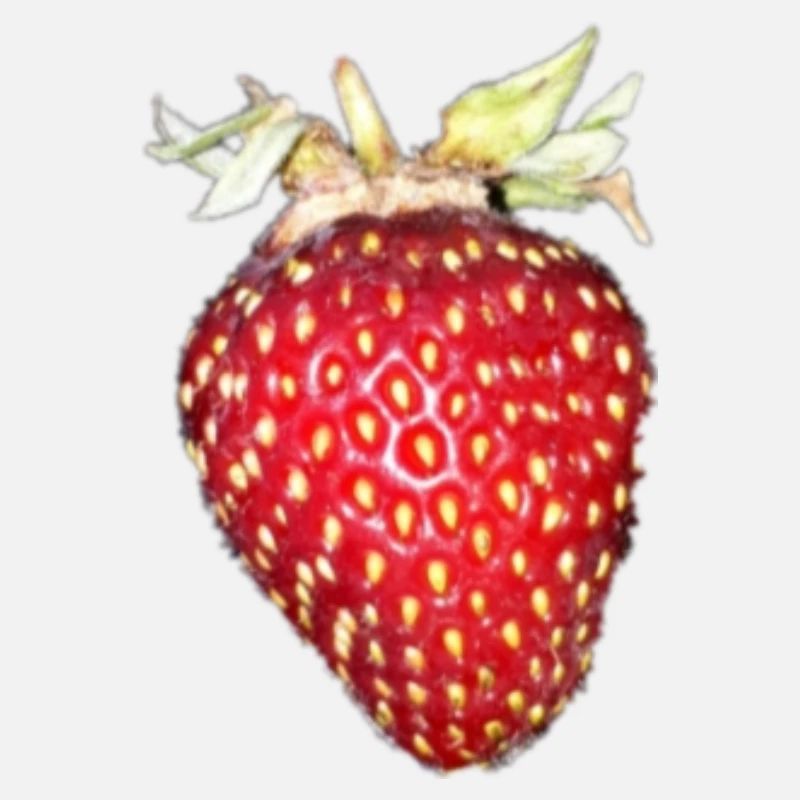 fraise