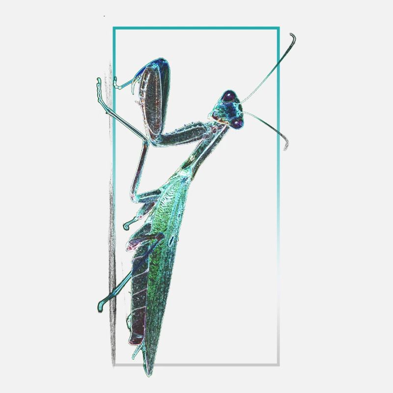 Praying Mantis Negative photography