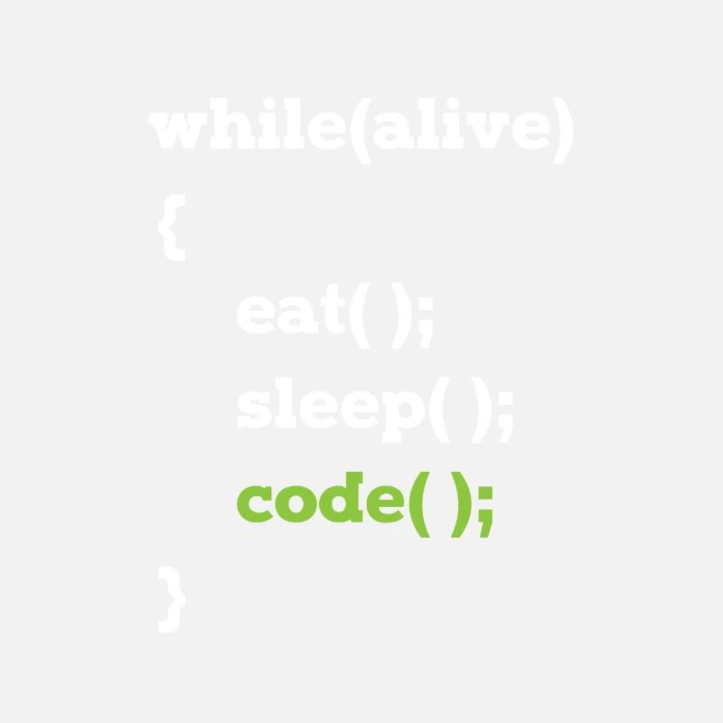 Programmeur Java en boucle informaticien