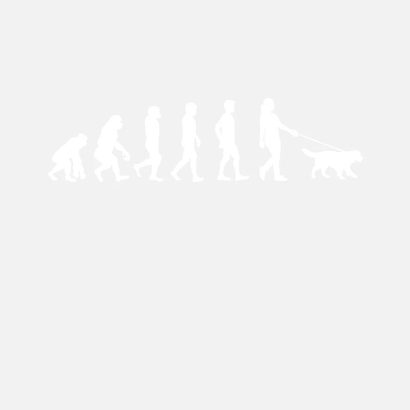Évolution de la promenade des chiens