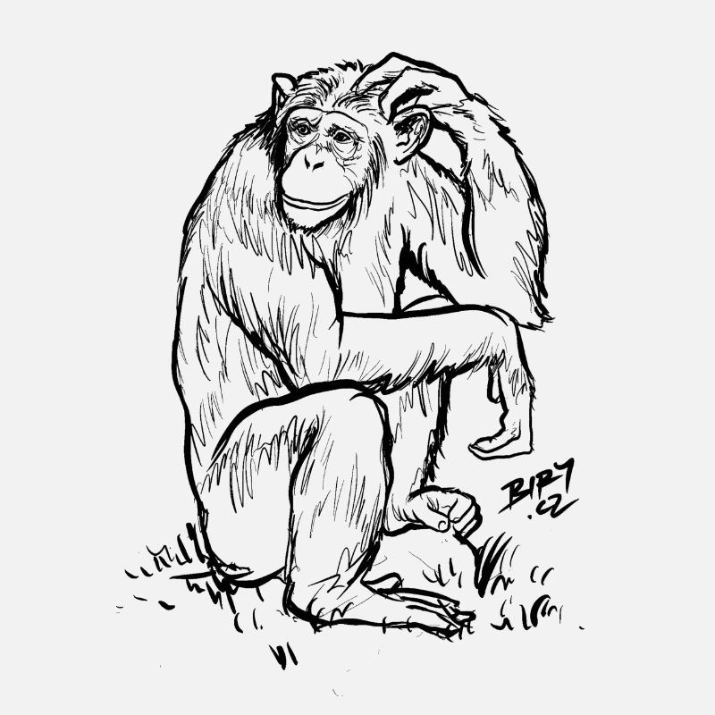 Pensée de chimpanzé