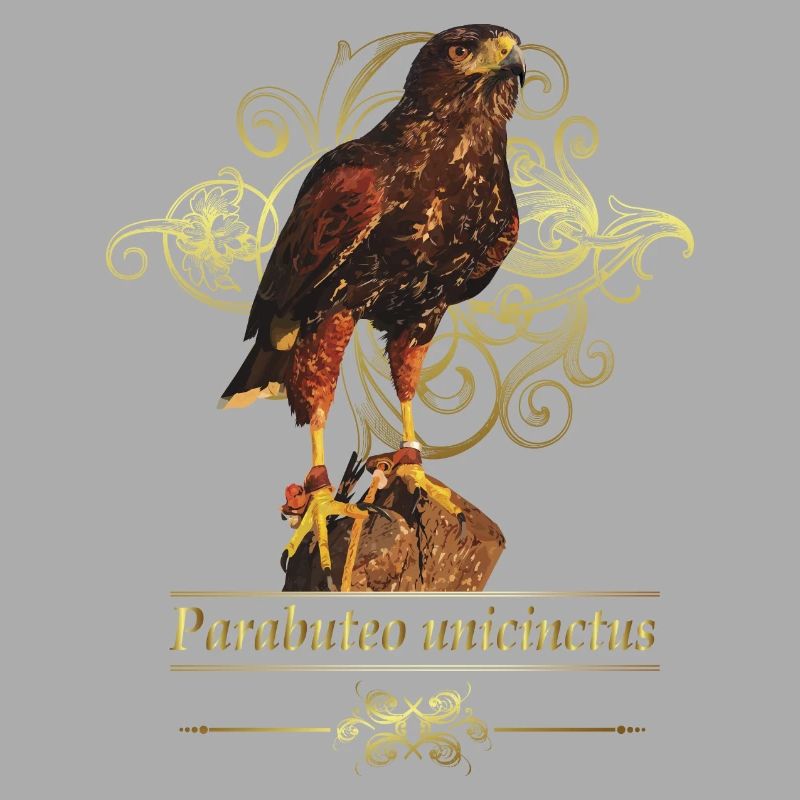 Reddish-reddish hawk