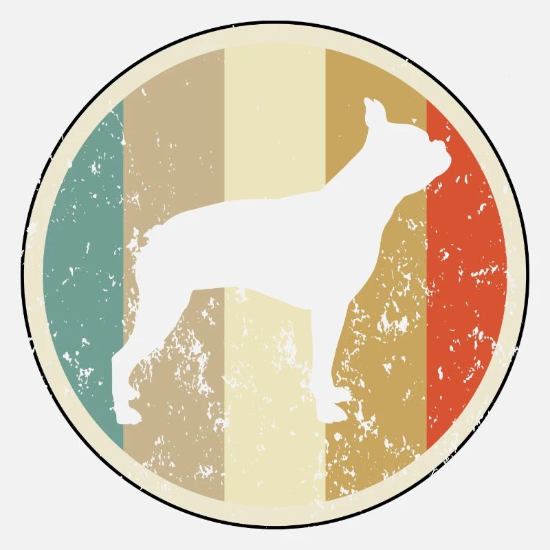 Boston Terrier