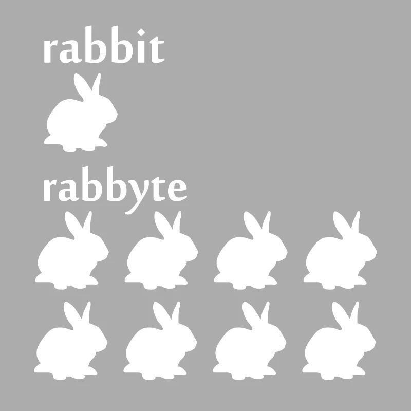 Programmierer Informatiker byte Rabbit Geschenk