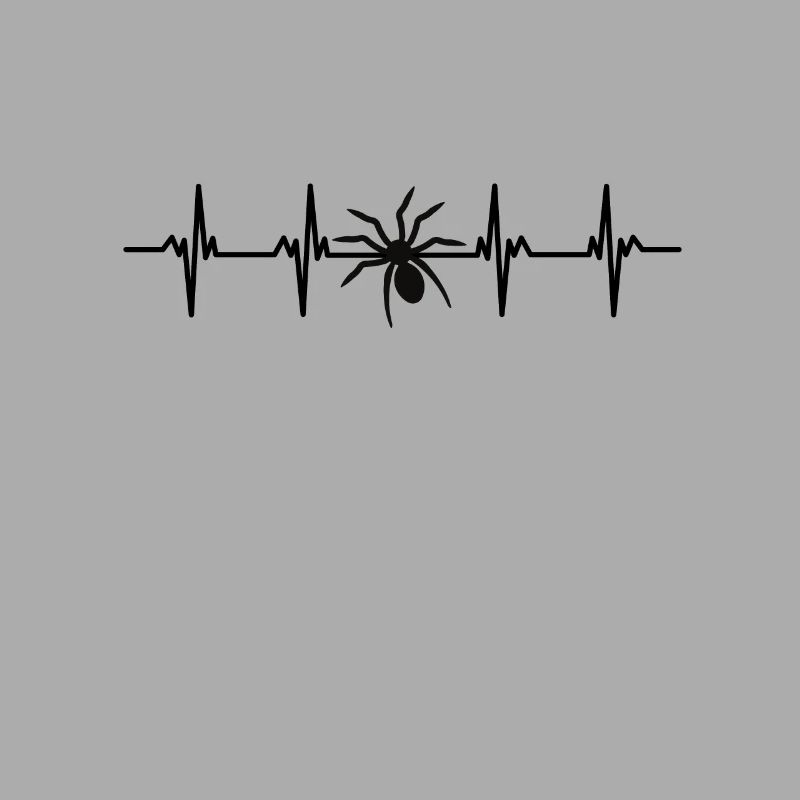 Spiders Spider web web arachnid legs 8 spider
