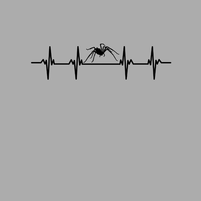 Spiders Spider web web arachnid legs 8 spider