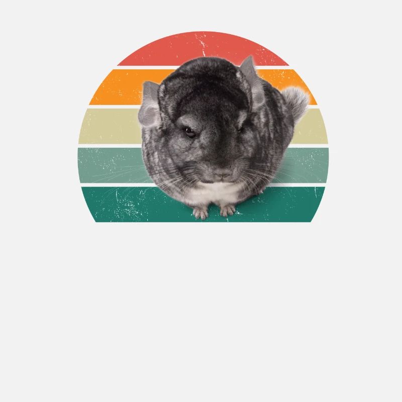 Rodents Rodents Hamster Rat Mouse Squirrel