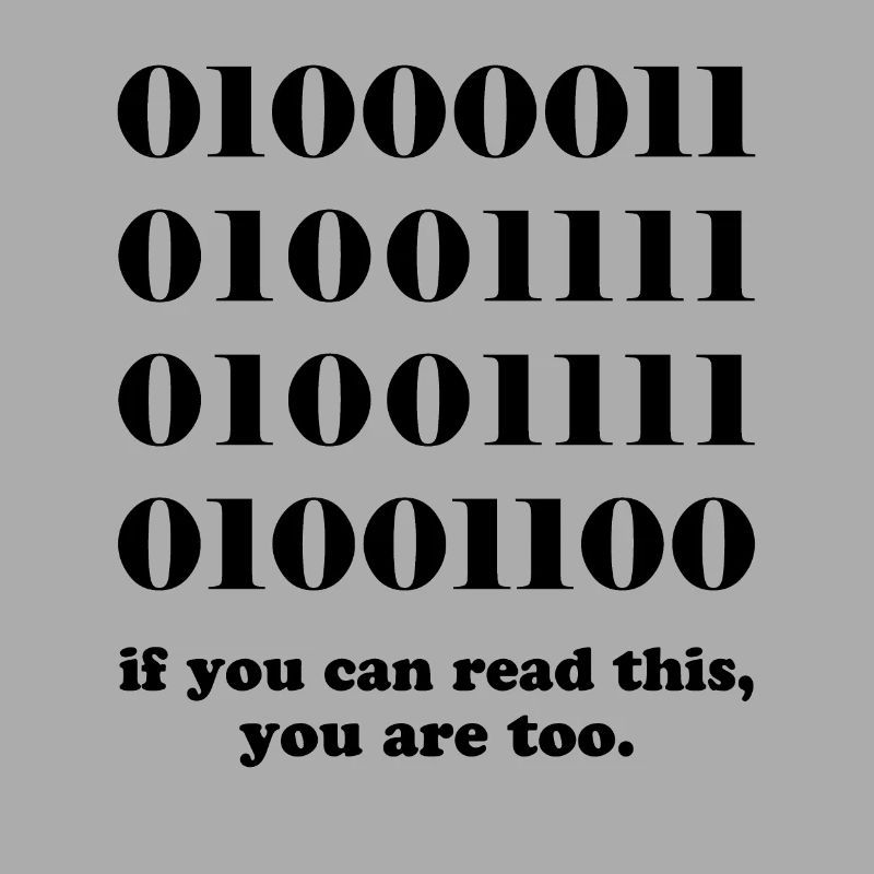 Computer binary code developers gift