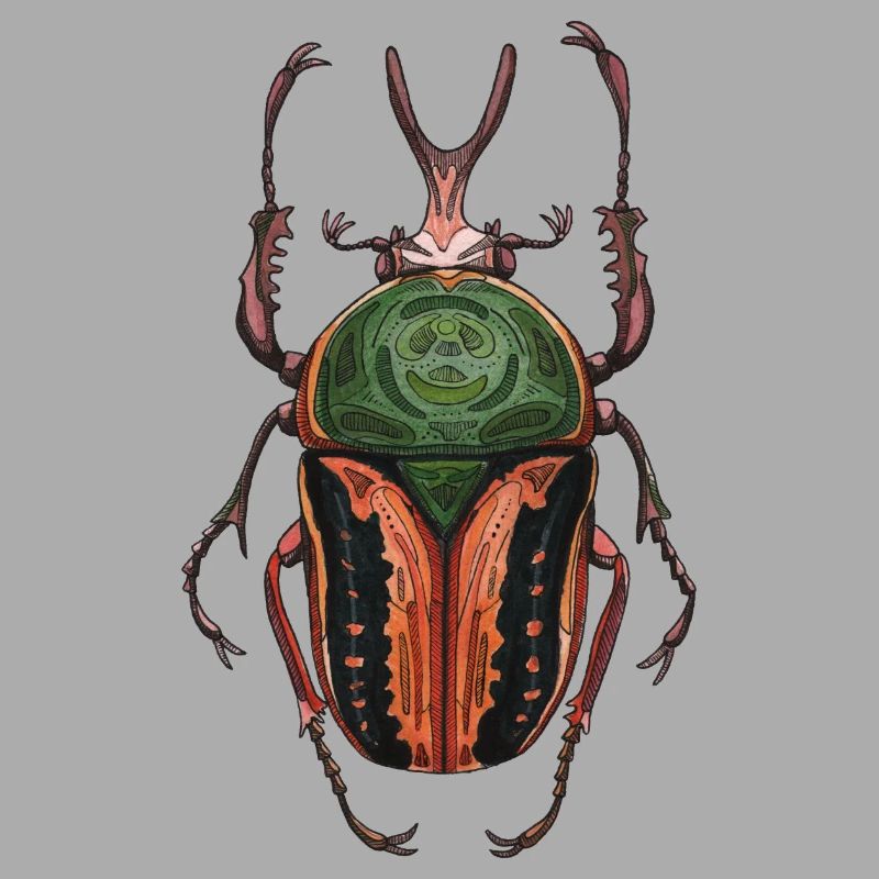 Big Beetle Stag - cerf géant