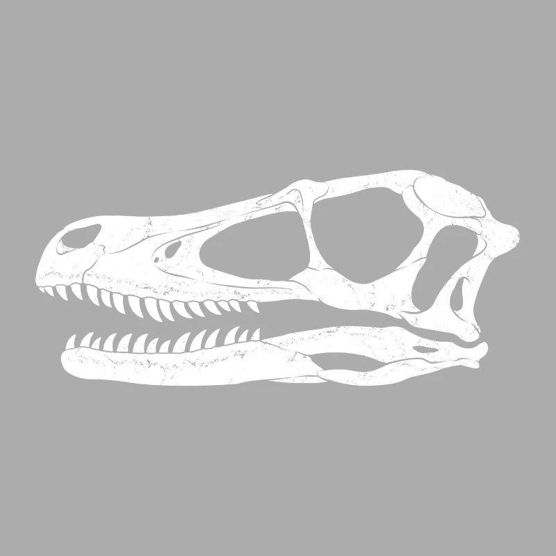 Velociraptor Fossil