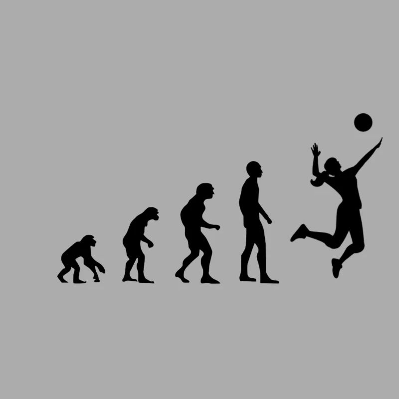 Evolution Volleyball