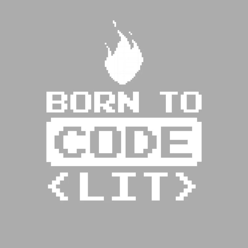 Developer Coder Programmer Funny