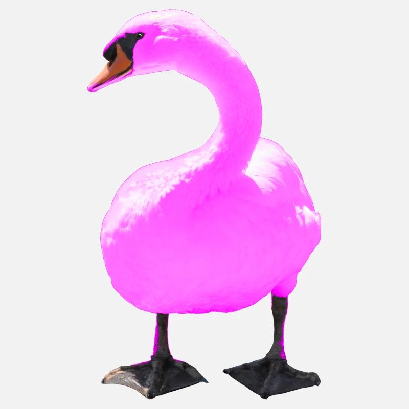 Schwan