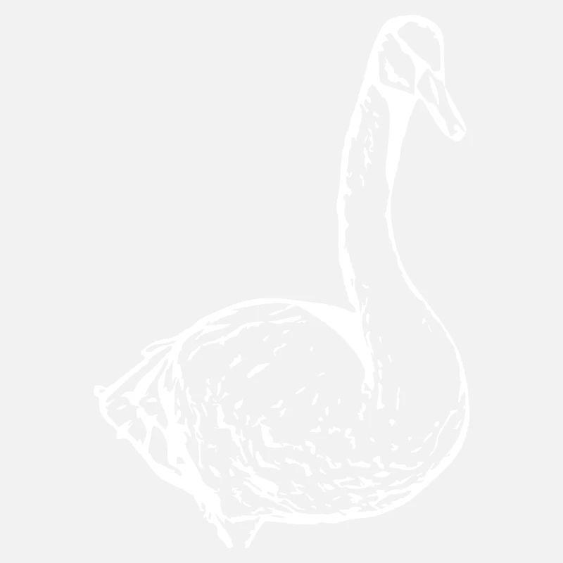 Swan White Duck Bird Goose
