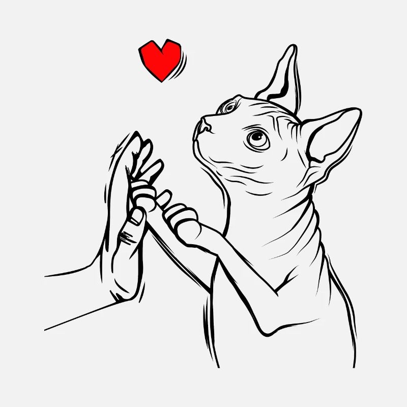 Sphynx Chat
