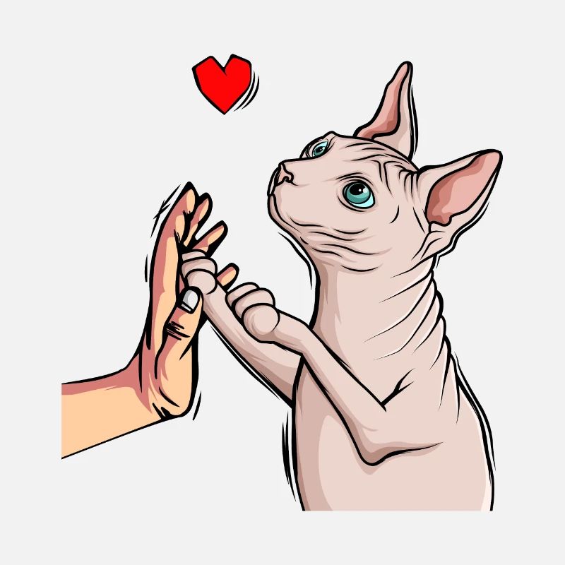 Sphynx Katze Sphinx Nacktkatze