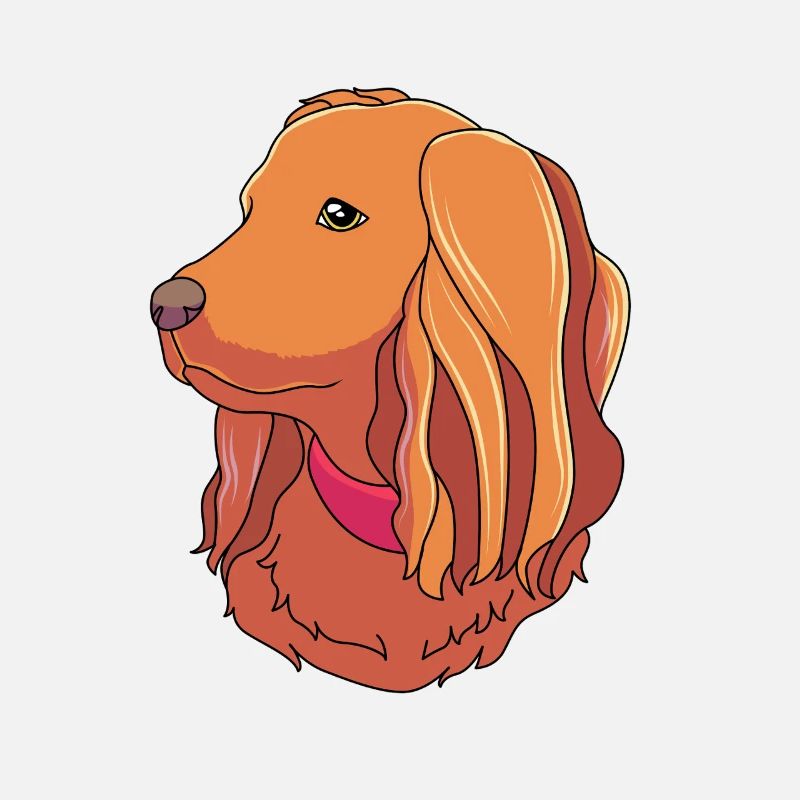 Boykin Spaniel