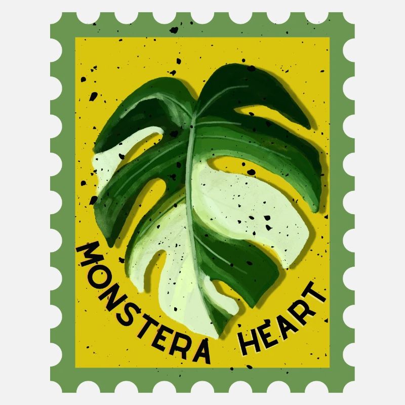 Monstera panaché