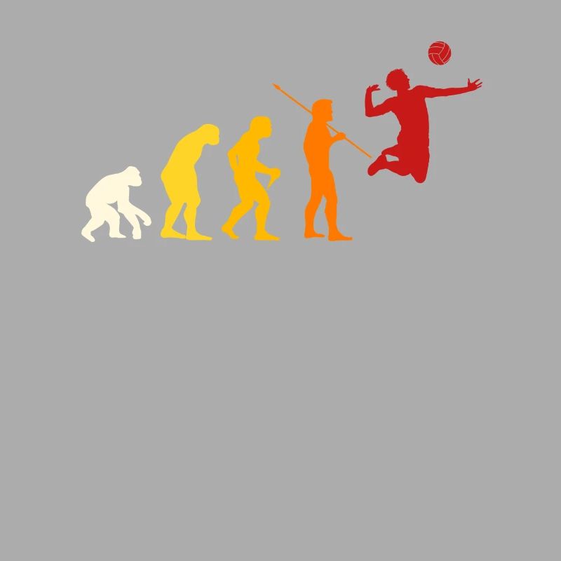 Conception de Volleyball Evolution