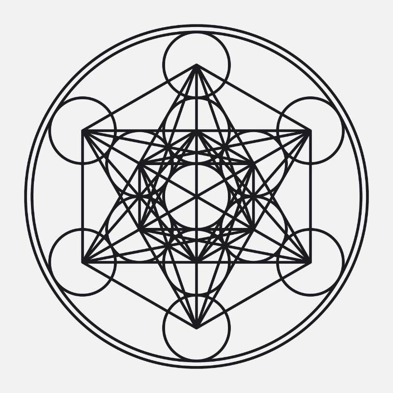 Metatrons Cube Géométrie Sacrée Mathématique Fleur