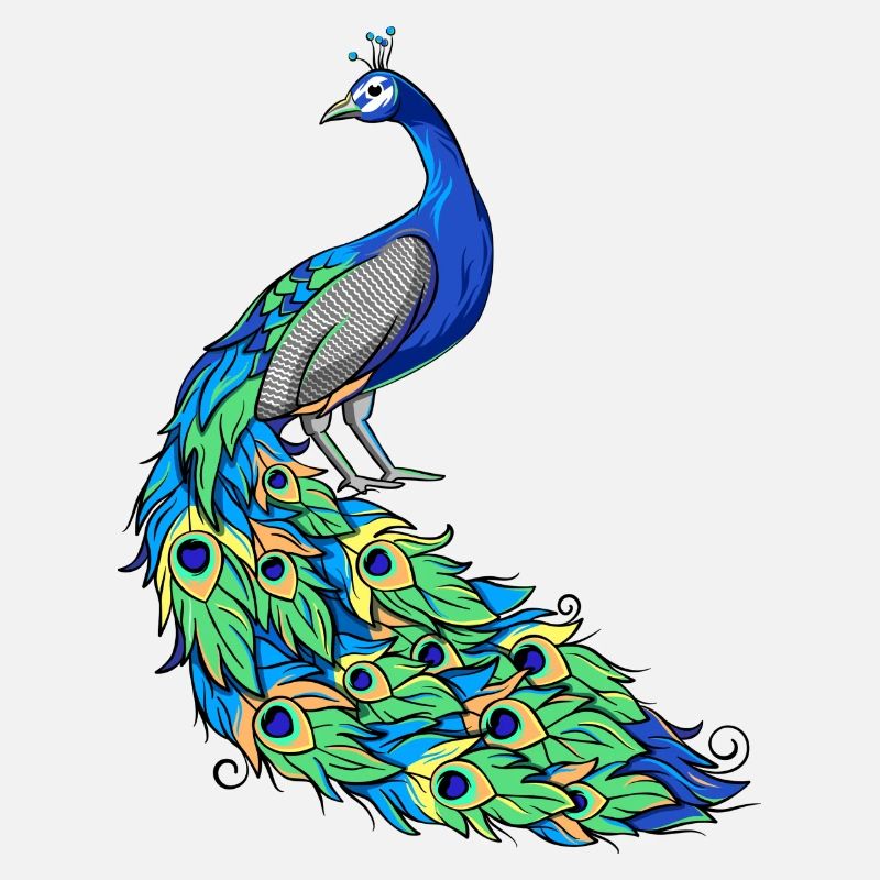 Oiseau plume de paon