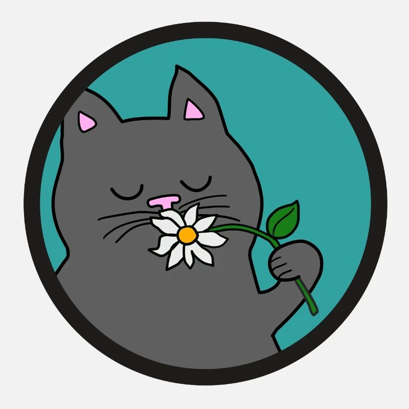 Gray Summer Cat