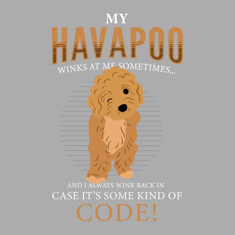 havapoo, havapoo poodle hybrid, havapoo humor,