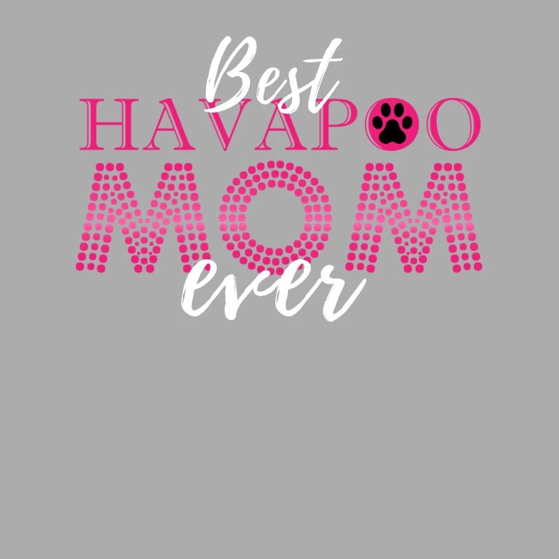 havapoo, havapoo havapoo sky, poodle hybrid,