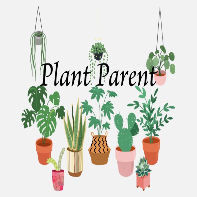 Parent de plante