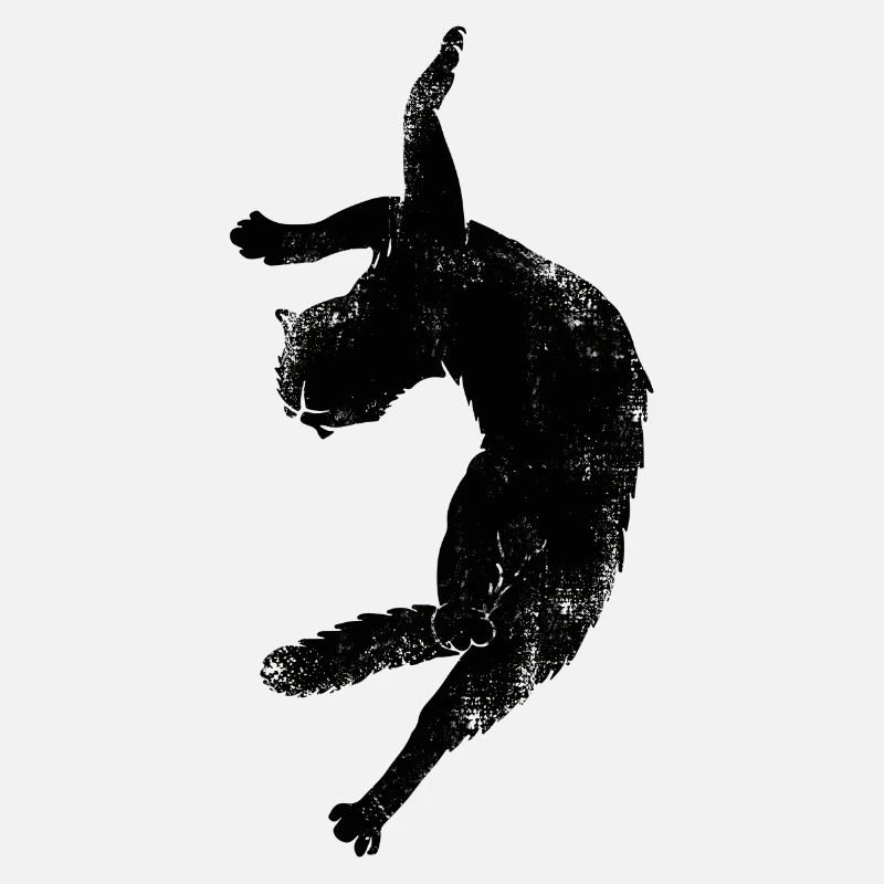 Flying cat
