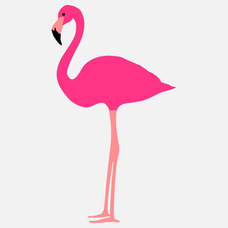 Flamant