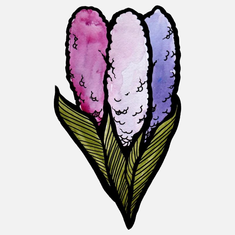 Spring Hyacinth