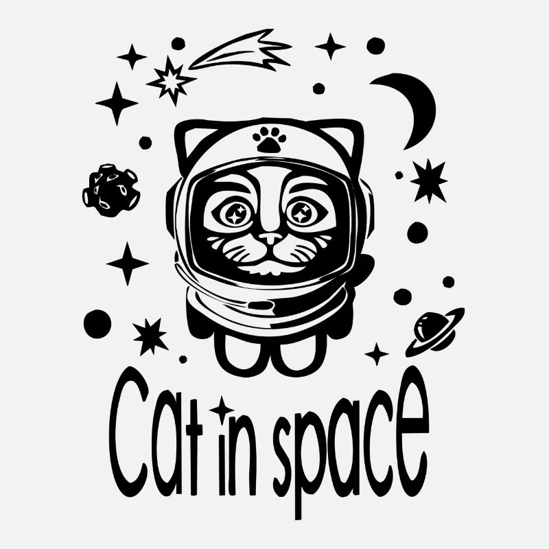 Chat dans l’espace