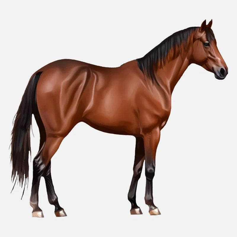 Serafina - cheval brun, debout