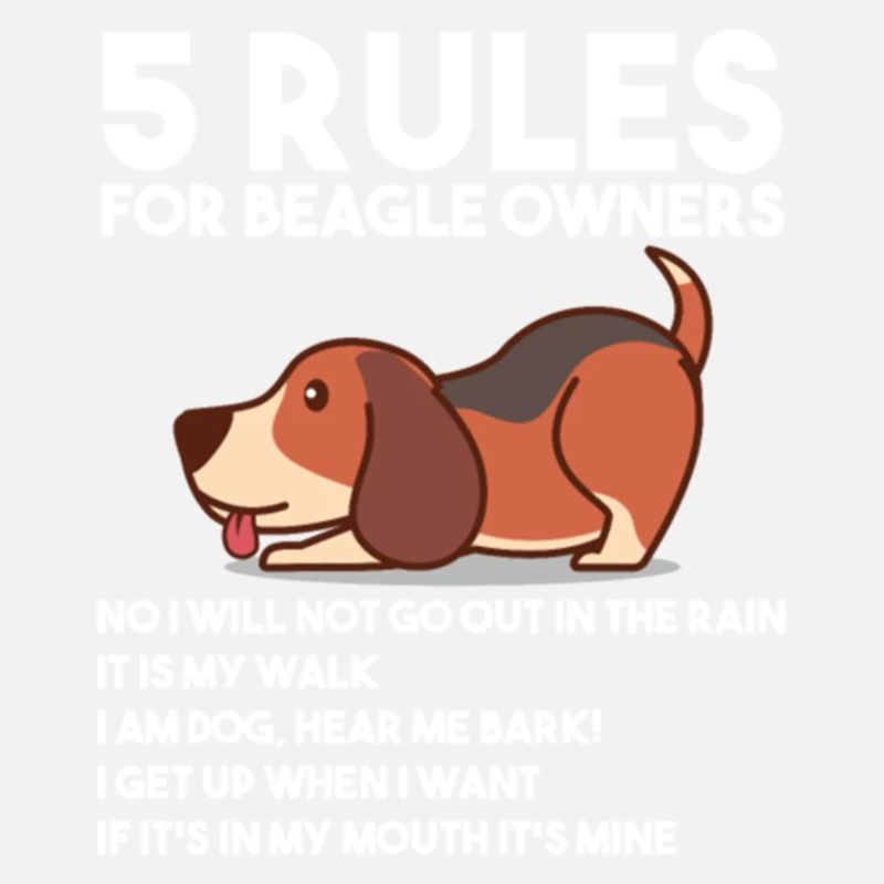 5 Rules For Beagle Owners T Shirt