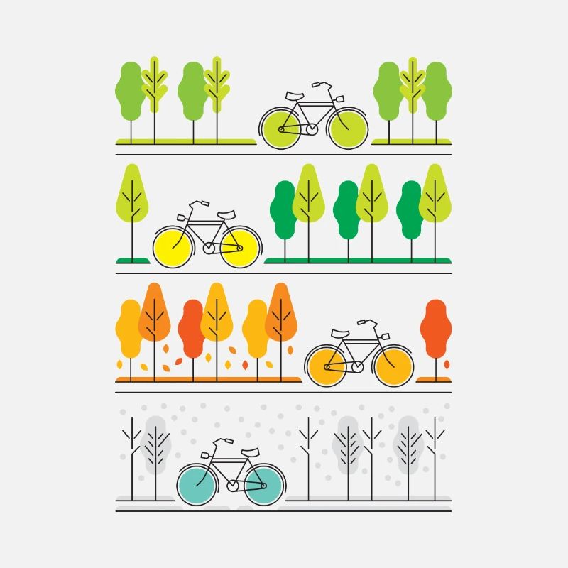 Radfahren durch die vier Jahreszeiten