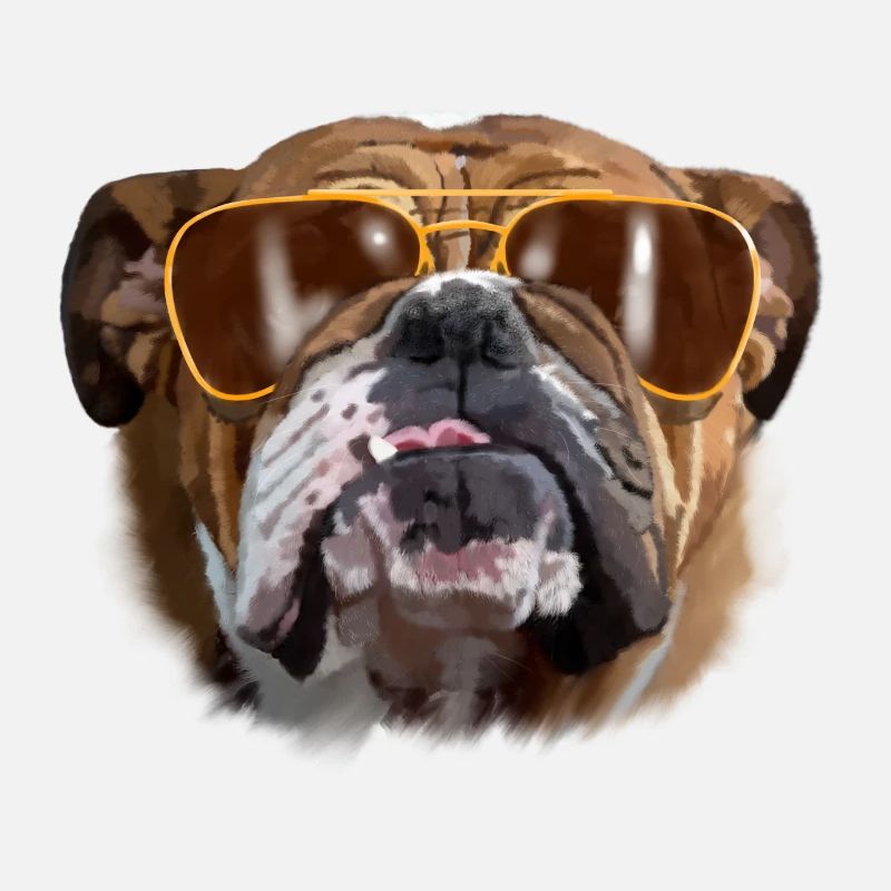 bouledogue