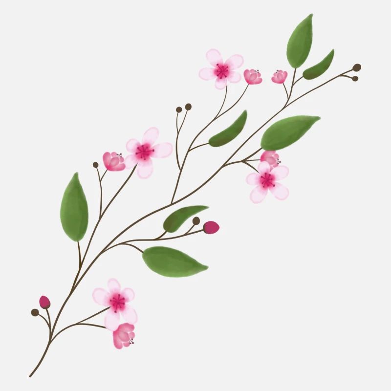 Fleur de cerisier