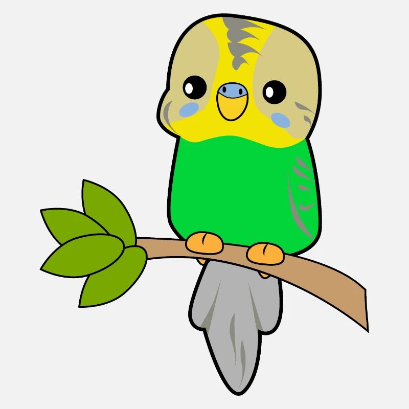 Budgerigar Parrot