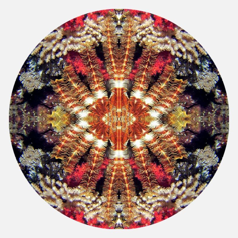 Nature Mandala Underwater, Feather Star
