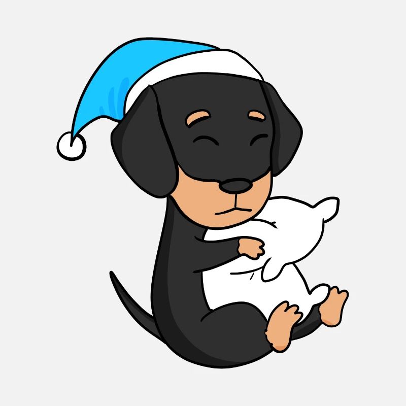dormir, fatigue, chien, race de chien, teckel
