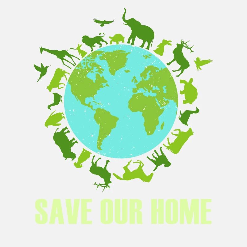 Save Our Home