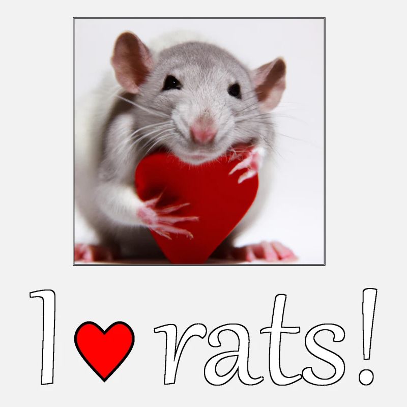 Ratte mit Herz