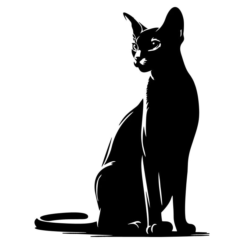 Abessiner Katze