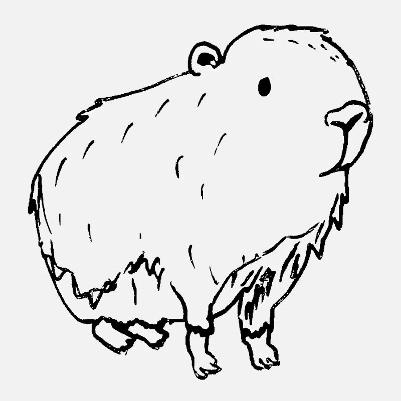 Abstrait Kapybara Noir