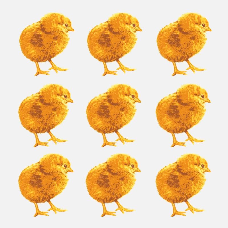 Chick Pattern for Spring and Nature