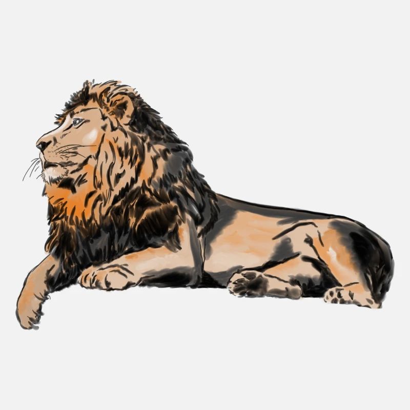 Lion majestueux couché