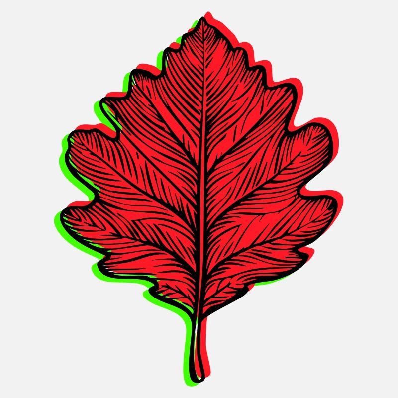 🍁 Customizable Autumn Leaf. Your colors, your style