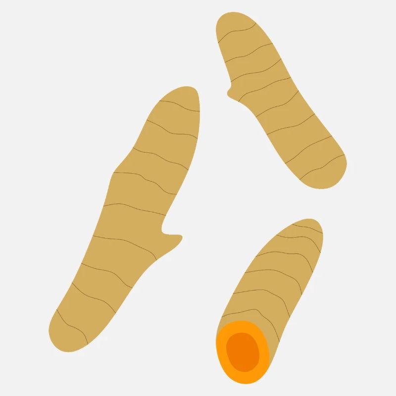 Turmeric Root Trio Minimalist