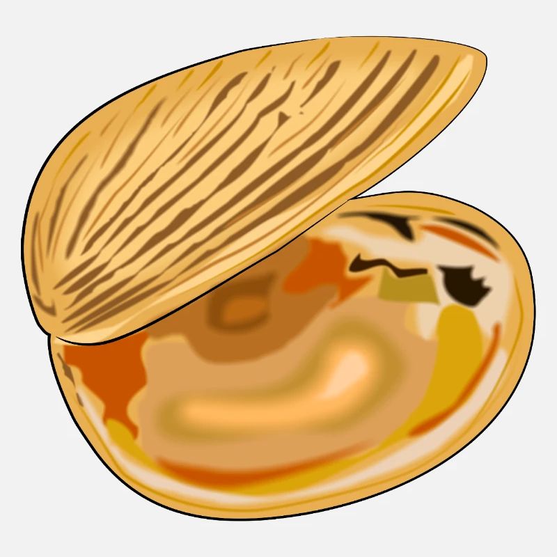 Coquille déployée